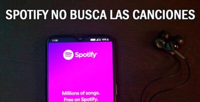 spotify no busca canciones