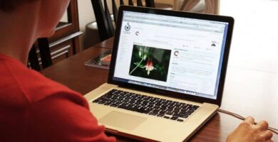 Kuinka avata .odp-, .odt- ja .ods-asiakirjoja helposti PowerPointissa (esimerkki) 16 trabajando en portatil