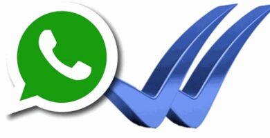 Kuinka tietää, lukivatko he viestini WhatsAppissa ja milloin, jos Blue Double Check poistetaan käytöstä 36 whatsapp doble check 12497