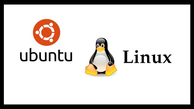 ubuntu ja pingviini linux-logo valkoisella taustalla