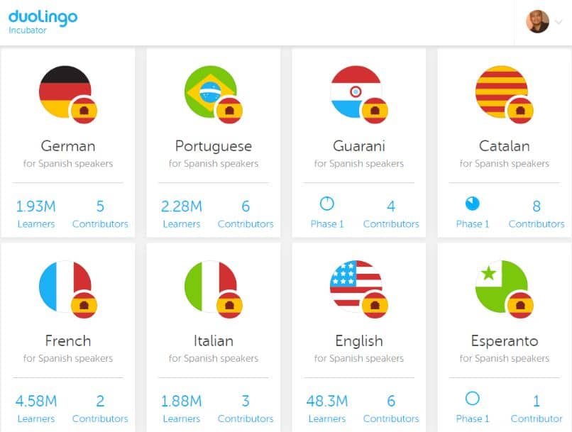 duolingo-paneeli