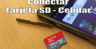 Conectar una tarjeta SD a mi celular