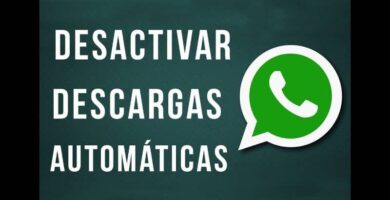 Desactivar Descargas WhatsApp