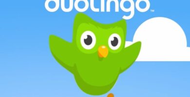 Kuinka monta kielta voin oppia Duolingosta Ja samaan aikaan