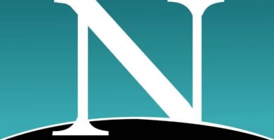 Netscape Logo