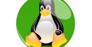 Pinguino Linux