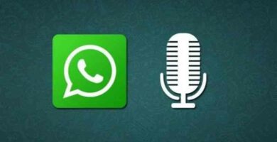 WhatsApp Audio 1