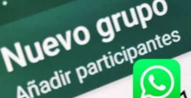 administrador whatsapp