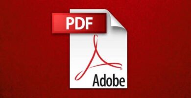 adobe pdf