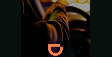 aplicacion didi fleet 10578