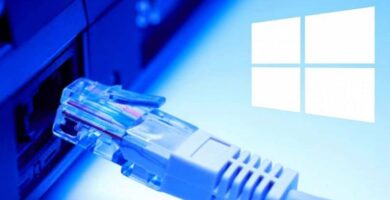 cable de red y microsoft