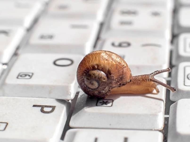 caracol en teclado