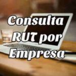 consulta rut por empresa 12668