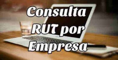 consulta rut por empresa 12668