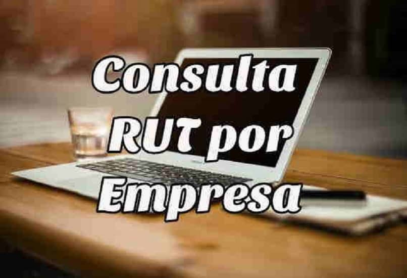 consulta rut por empresa 12668