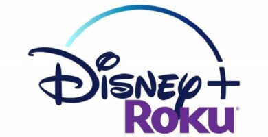 Mitä Rokulla on, onko se yhteensopiva vai hyvä Disney Plus -tuotteelle? Miksi Rokullani ei ole Disney Plus -palvelua? 24 disney plus logo 12413