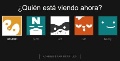 distintos perfiles netflix