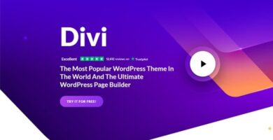 divi wordpress 13483