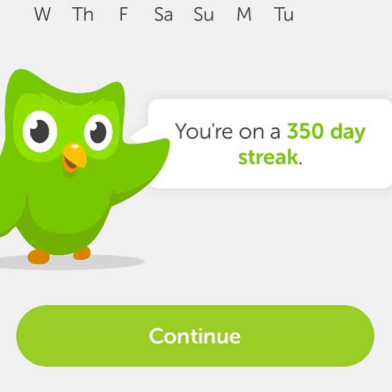 duolingo 13063