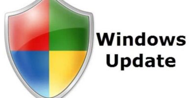 escudo windows update