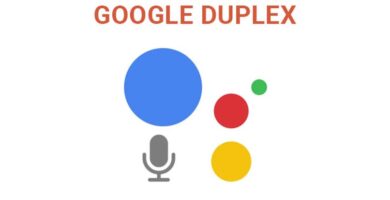 google duplex 12495