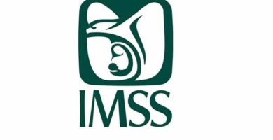 imss blanco