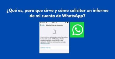 informe whatsapp