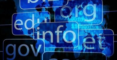 internet dominio web 11355