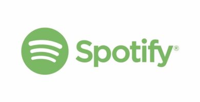 Paljonko Spotify Premiumin kuukausitilaus maksaa? 28 letras spotify