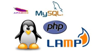 logo apache mysql php lamp y pinguino de ubuntu 1