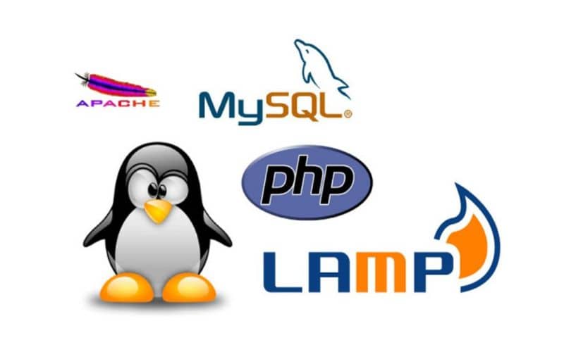 logo apache mysql php lamp y pinguino de ubuntu 1