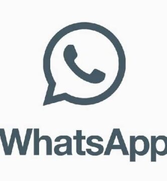 logo de whattsap gris