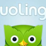 logo duolingo 9227