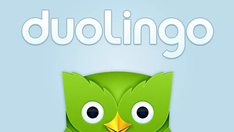 logo duolingo 9227