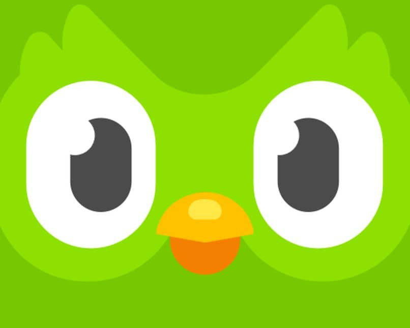 logo duolingo 9229