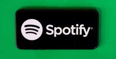 logo spotify fondo verde