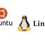 logo ubuntu pinguino linux