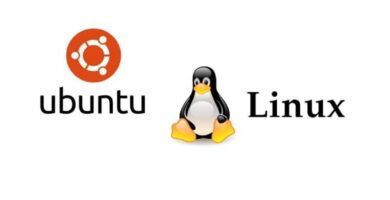 logo ubuntu pinguino linux