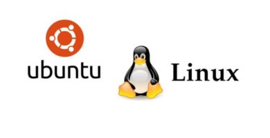 Kuinka muokata ja konfiguroida Sudu-lisäaikaa Ubuntu Linuxissa 4 logo ubuntu pinguino linux