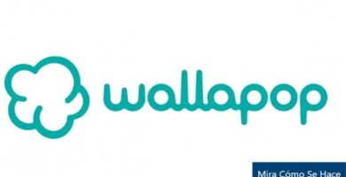 logo wallapop fondo blanco