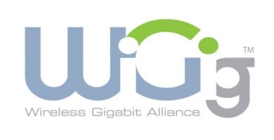 logo wigig gris verde