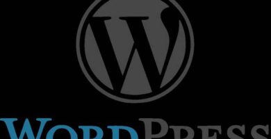 logo wordpress 1