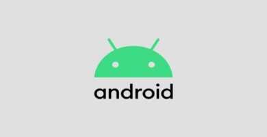 logotipo de android a colores