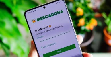 mercadona app compras online 11043