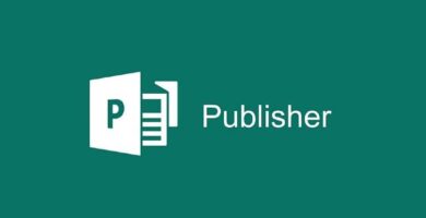 microsoft publisher logo 1