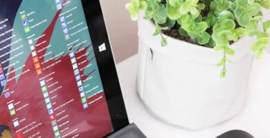 Läpinäkyvän muistilehden lataaminen ja asentaminen Windows 10: lle 32 notepad windows 10 planta maceta 9782