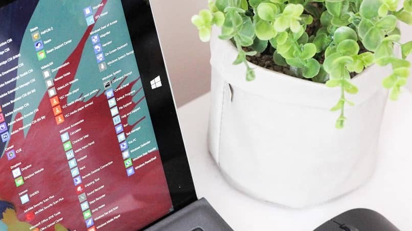 Läpinäkyvän muistilehden lataaminen ja asentaminen Windows 10: lle 1 notepad windows 10 planta maceta 9782