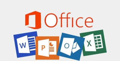 office 365