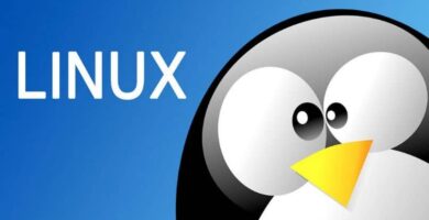 pinguino de linux