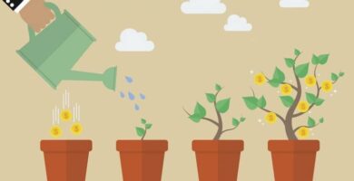 sembrar dinero 10107